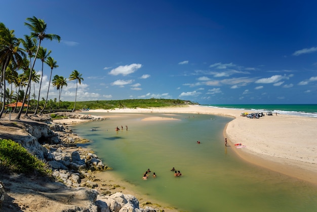 Foto bela praia do conde perto de joão pessoa paraíba brasil