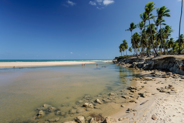 Bela praia do conde perto de joão pessoa paraíba brasil