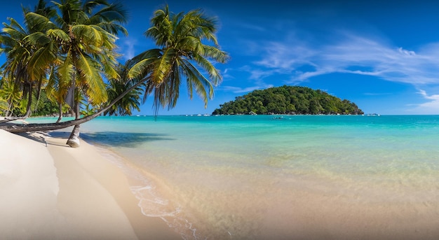 Foto bela praia fantástica num dia de verão ensolarado cercada de árvores e palmeiras