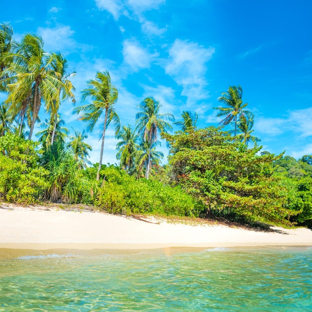 Bela praia na ilha tropical com palmeiras, areia branca e mar azul