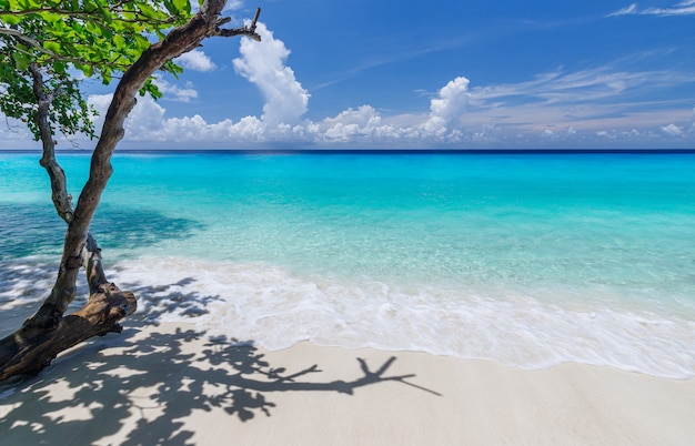 Bela praia nas ilhas similan, mar de andaman, phang nga, phuket, tailândia