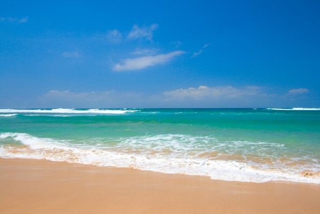 Bela praia no verão