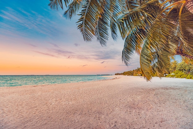 Bela praia paradisíaca tropical do pôr do sol panorâmico. Férias de verão tranquilas ou paisagem de férias