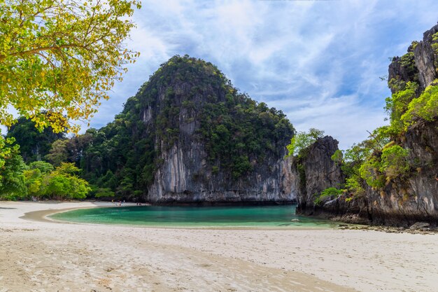 Bela praia tropical e folhagem verde exuberante em uma ilha tropical