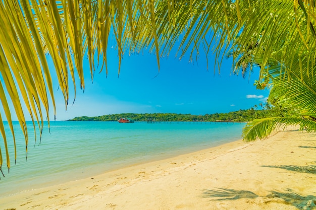 Bela praia tropical e mar com coqueiro na ilha paradisíaca