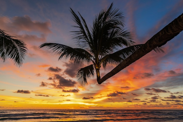 Bela praia tropical e mar com silhueta de coqueiro ao pôr do sol