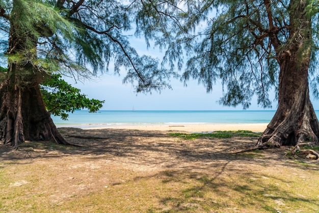 Bela praia tropical e mar na ilha paradisíaca