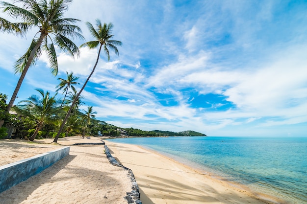 Bela praia tropical mar e areia com coqueiro no céu azul e nuvem branca