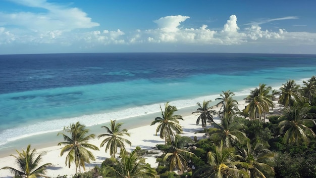 Bela praia tropical mar oceano com coco e outras árvores em torno de nuvens brancas no céu azul