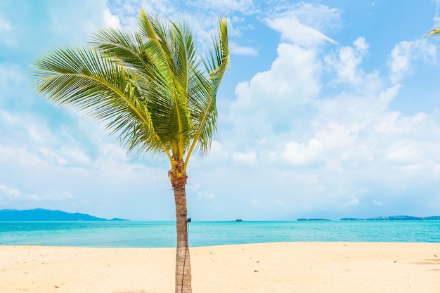 Bela praia tropical mar oceano com coqueiro para viagens de férias