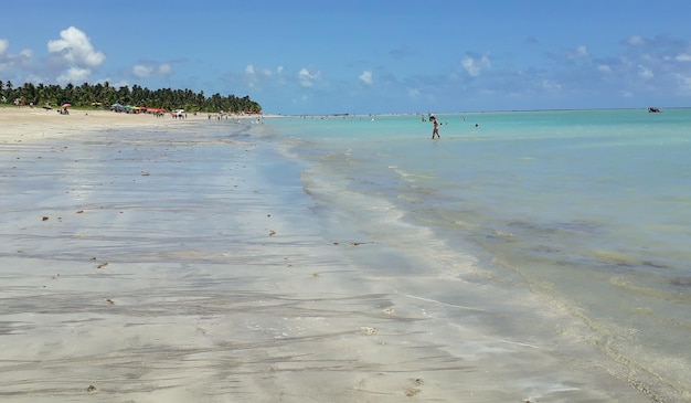 Foto bela praia turquesa na costa brasileira em maragogi alagoas brasil