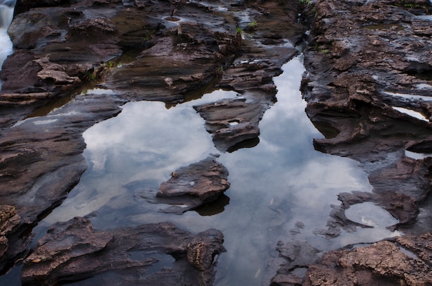Foto bela refletir rocha e água com a floresta circundante.
