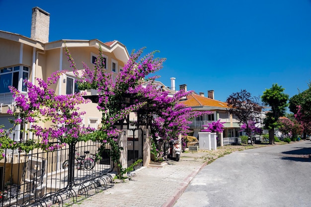 Bela rua com casas antigas e jardins com flores na Ilha Adalar em um dia ensolarado de verão