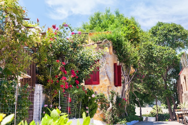 Bela rua em atenas, grécia. arquitetura nacional no antigo distrito de plaka