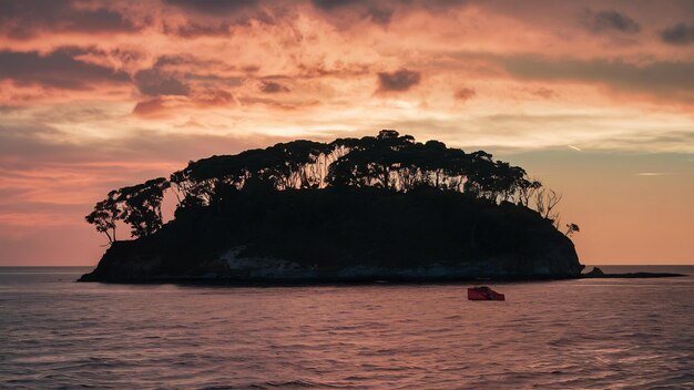 Foto bela silhueta ampla de uma ilhota coberta de árvores ao lado do mar sob o céu durante o pôr-do-sol