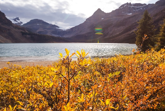 Bela temporada de outono nas montanhas canadenses. Fundo de outono.