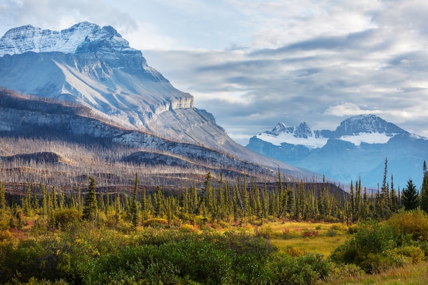 Bela temporada de outono nas montanhas canadenses. Fundo de outono.