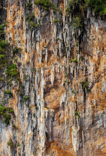 Bela textura para o fundo