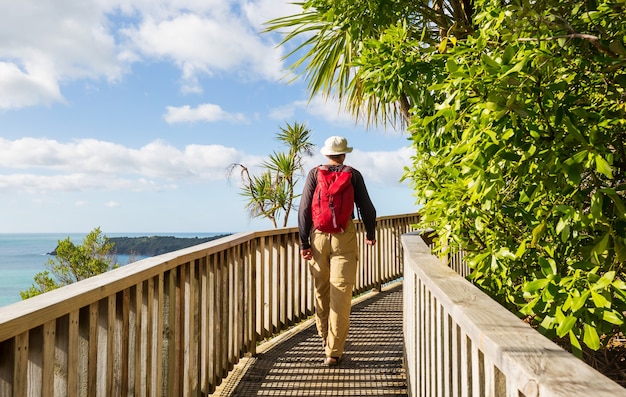 Bela trilha na Ocean Beach, Nova Zelândia. Homem caminhando ao longo do calçadão de madeira. Fundo natural e de viagens inspirador