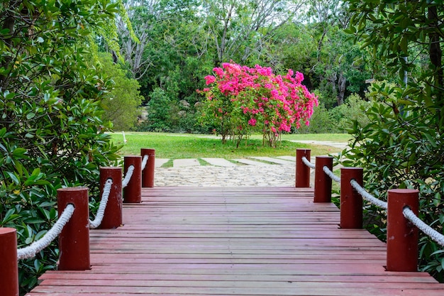 Bela vegetação, árvores, flores, lagos e lagoas no famoso parque tropical Bai Lu Gong Yuan, na cidade de Sanya. Ilha de Hainan, China.