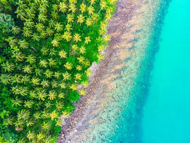 Bela vista aérea da praia e do mar com palmeira de coco