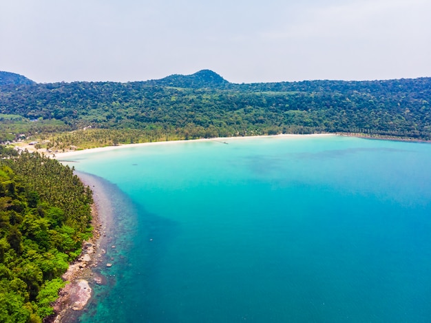 Bela vista aérea da praia e do mar com palmeira de coco