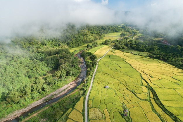 Bela vista aérea do arrozal no distrito de bo kluea. uma pequena vila situada em um vale florestal do norte de ar puro e rios cristalinos na província de nan da tailândia. vista incrível do drone.