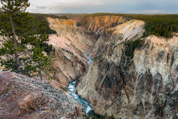 Bela vista aérea do rio Yellowstone