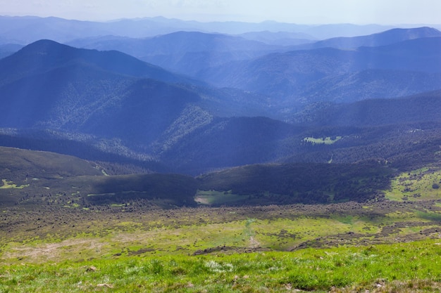 Bela vista com raios de sol do Prado do Monte Hoverla É a montanha mais alta da Ucrânia