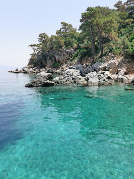 Bela vista da costa azul, rochas e pinheiros. O mar Egeu. Turquia, Kusadasi.