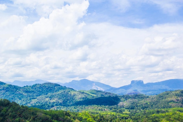 Bela vista da famosa Sigiriya Mountain Lion Mountain entre a floresta tropical do Sri Lanka