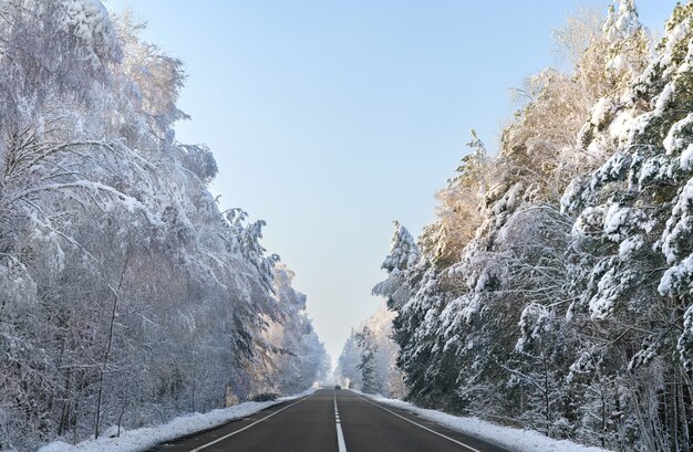 Bela vista da floresta de inverno, coberta de neve ao longo da estrada de asfalto claro.