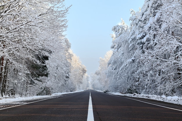 Bela vista da floresta de inverno, coberta de neve ao longo da estrada de asfalto claro.