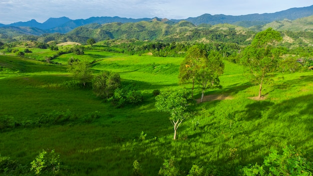 Bela vista da grama em Aceh