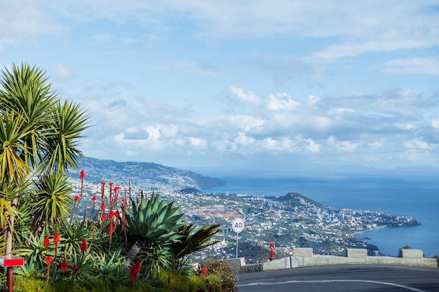 Bela vista da ilha da Madeira com montanhas, palmeiras da cidade do Funchal e oceano Panorama amplo incrível