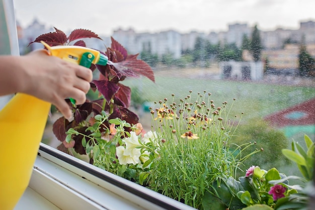 Bela vista da janela com flores desabrochando na varanda jardim natureza e ecologia em casa