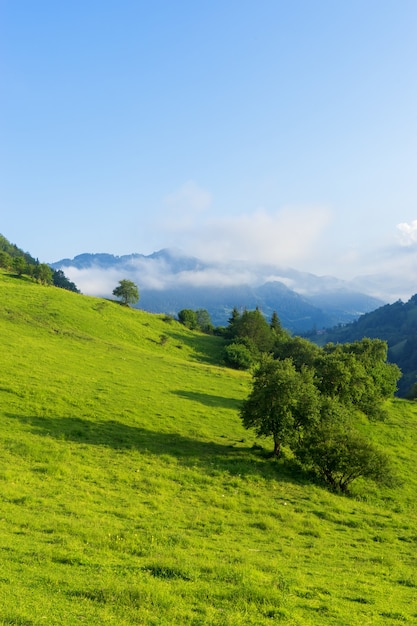 Bela vista da montanha para as terras altas e árvores