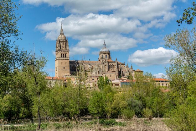 Bela vista da Nova Catedral de Salamanca Castilla y Leon Espanha