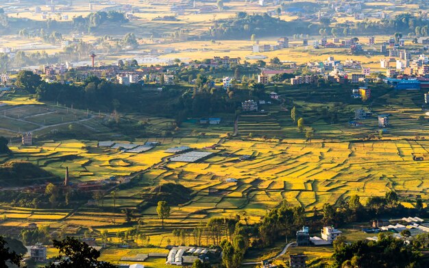 bela vista da paisagem das plantações de arroz em Kathmandu Nepal