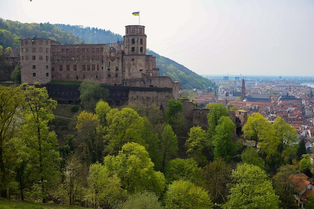 Bela vista da paisagem urbana de cima da cidade europeia de Heidelberg na Alemanha Bridge e castelo