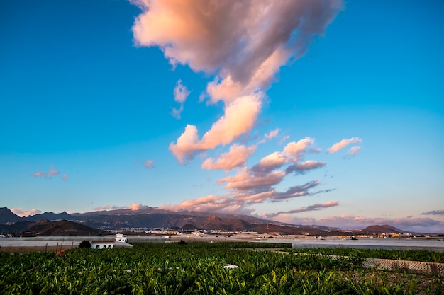 Bela vista da plantação de bananas e montanhas atrás