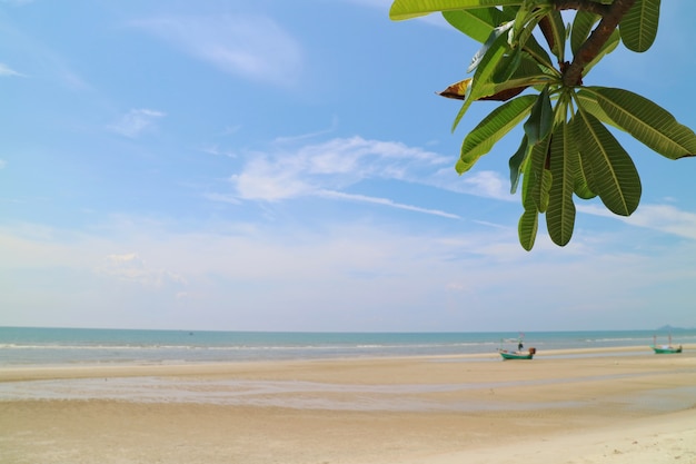 Bela vista da praia do mar com folhas verdes