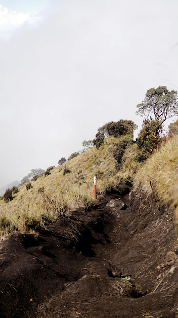 Bela vista da savana do monte merbabu