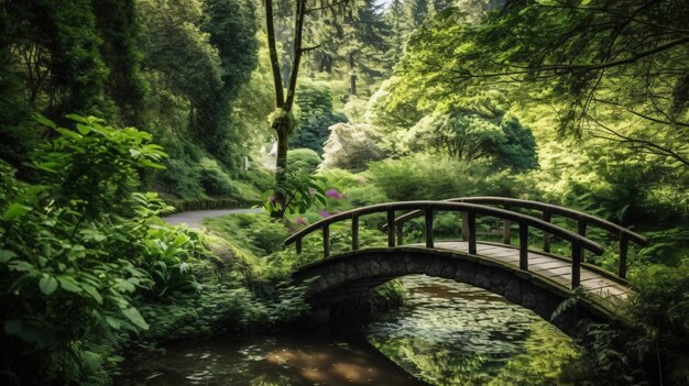 bela vista da vegetação e uma floresta ponte