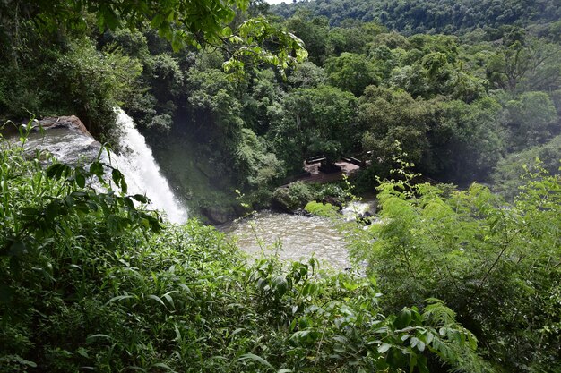 Bela vista das Cataratas do Iguaçu uma das Sete Maravilhas Naturais do Mundo Puerto Iguazu Argentina