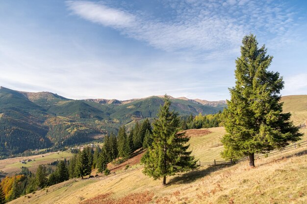 Bela vista das montanhas na Ucrânia Maravilhosa paisagem panorâmica com floresta de outono em um dia ensolarado