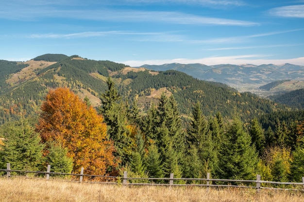 Bela vista das montanhas na Ucrânia Maravilhosa paisagem panorâmica com floresta de outono em um dia ensolarado