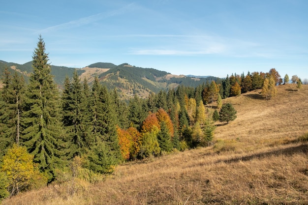 Bela vista das montanhas na Ucrânia Maravilhosa paisagem panorâmica com floresta de outono em um dia ensolarado