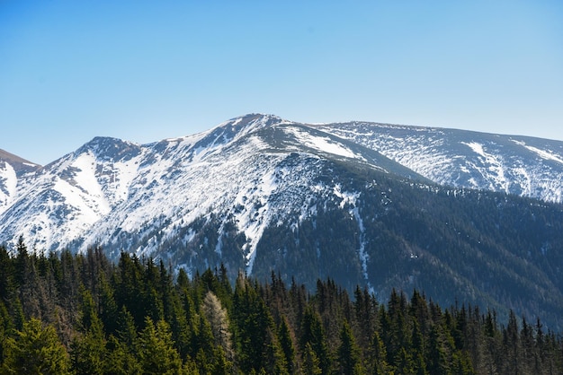 Foto bela vista das montanhas nevadas com céu azul, durante o dia ensolarado da primavera. tatras ocidentais.