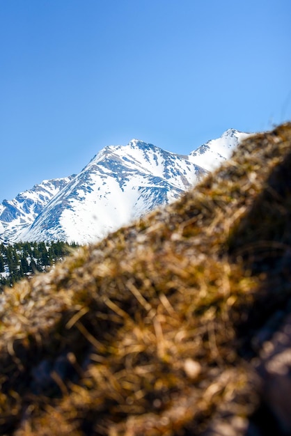 Bela vista das montanhas nevadas com céu azul, durante o dia ensolarado da primavera. Tatras ocidentais.